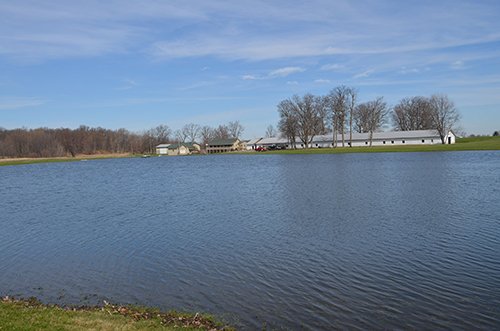 Property photo 88 - REAL ESTATE & PERSONAL PROPERTY AUCTION, 140 Acres offered in 8 Tracts or Combinations in Steuben County